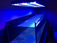 IMG_0039.jpg