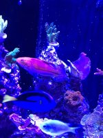 IMG_0281.jpg