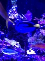 IMG_0282.jpg