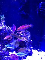 IMG_0283.jpg