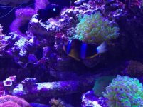 IMG_0085.jpg