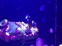 IMG_0086.jpg