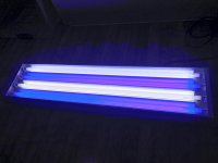 IMG_1007vista3.jpg