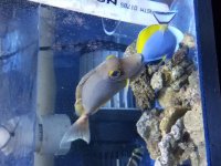 20161017_190207.jpg