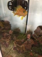 IMG_7237.jpg
