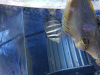 20161017_190315.jpg