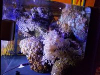 20160824_180252.jpg