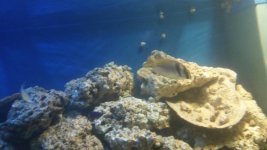 20160809_120813.jpg