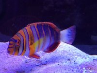 IMG_0365.JPG