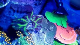 2016-09-30 17.38.06.jpg