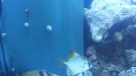 20160809_120941.jpg