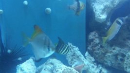 20160809_120740.jpg