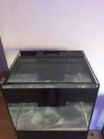 thumbnail_IMG_0325.jpg