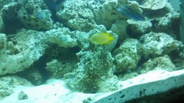 20160809_203416.jpg