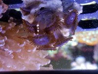 20170201_183047.jpg