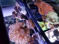 20170130_220843.jpg