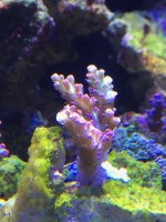 IMG_3606.jpg