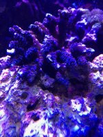IMG_3611.jpg