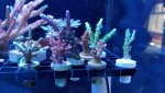 20170824_141744.jpg