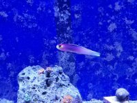 20170824_210535.jpg