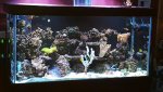 20160205_.jpg