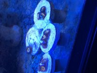 IMG_1536.jpg