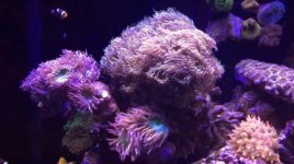 IMG_7560.jpg