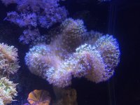 IMG_7687.JPG