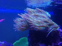 IMG_3521.jpg