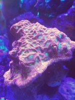 20161019_130440.jpg