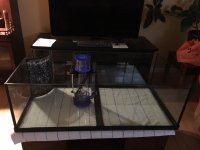 80G with skimmer.jpg