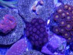 20161121_140938.jpg