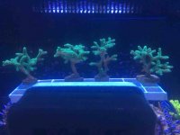 IMG_2340.JPG