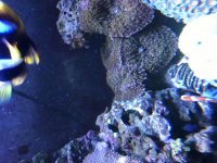IMG_0948.jpg