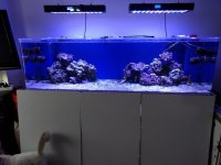 IMG_20160705_101118.jpg