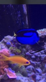 IMG_8528.jpg