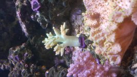 20171126_132854.jpg