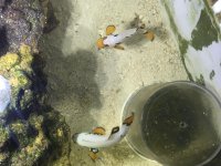 IMG_8596.jpg