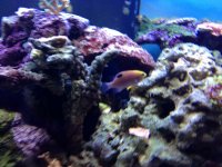 IMG_1392.jpg