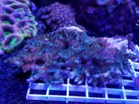 20170802_135711.jpg
