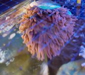 20160814_101251.jpg