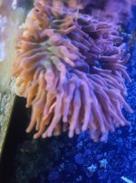 20160814_101324.jpg