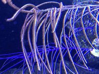 IMG_2856.jpg