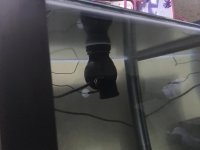IMG_0120.jpg
