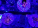 20170828_203000.jpg