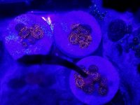 20170828_202952.jpg