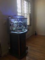 20170611_202113559_iOS.jpg