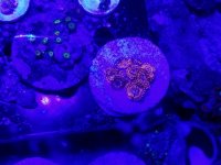 20170828_202955.jpg