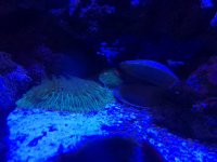 IMG_5188.jpg