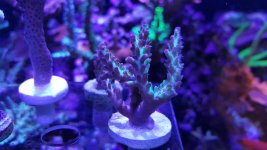 20160814_151208.jpg